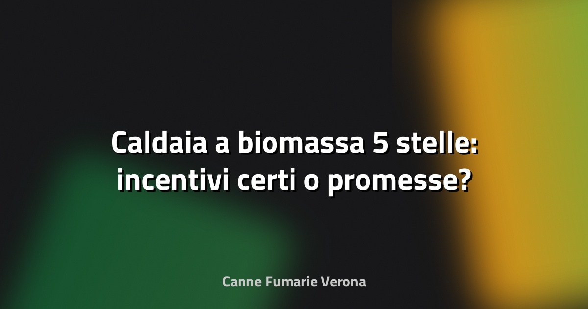🔥 Caldaia a biomassa 5 stelle: incentivi certi o promesse?