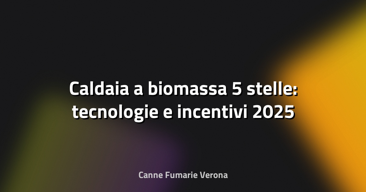 🔥 Caldaia a biomassa 5 stelle: tecnologie e incentivi 2025