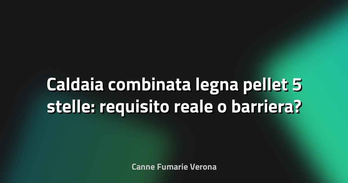 🔥 Caldaia combinata legna pellet 5 stelle: requisito reale o barriera?