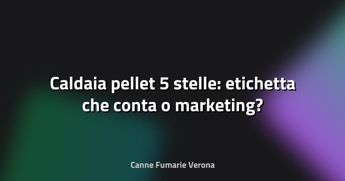 🔥 Caldaia pellet 5 stelle: etichetta che conta o marketing?