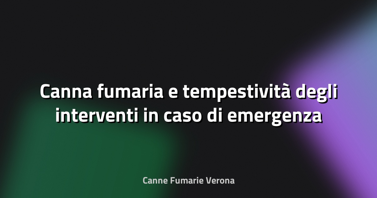 🔥 Canna fumaria e tempestività degli interventi in caso di emergenza