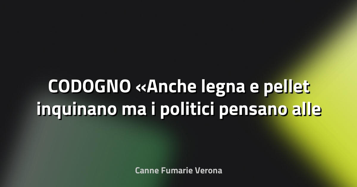 🔥 CODOGNO «Anche legna e pellet inquinano ma i politici pensano alle auto» - Il Cittadino di Lodi