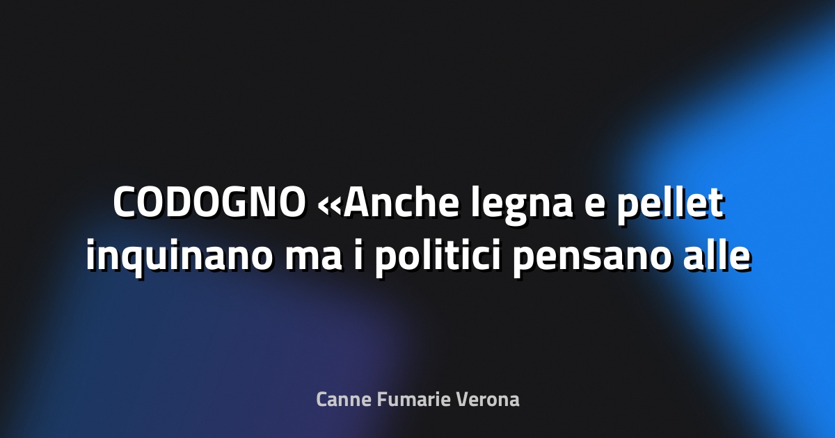 🌍 CODOGNO «Anche legna e pellet inquinano ma i politici pensano alle auto» - Il Cittadino di Lodi