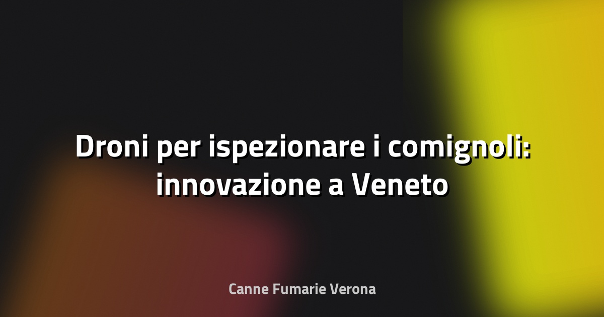 🚁 Droni per ispezionare i comignoli: innovazione a Veneto