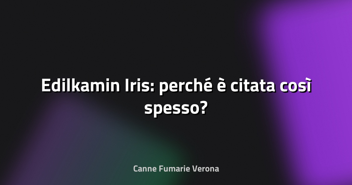 🔥 Edilkamin Iris: perché è citata così spesso?