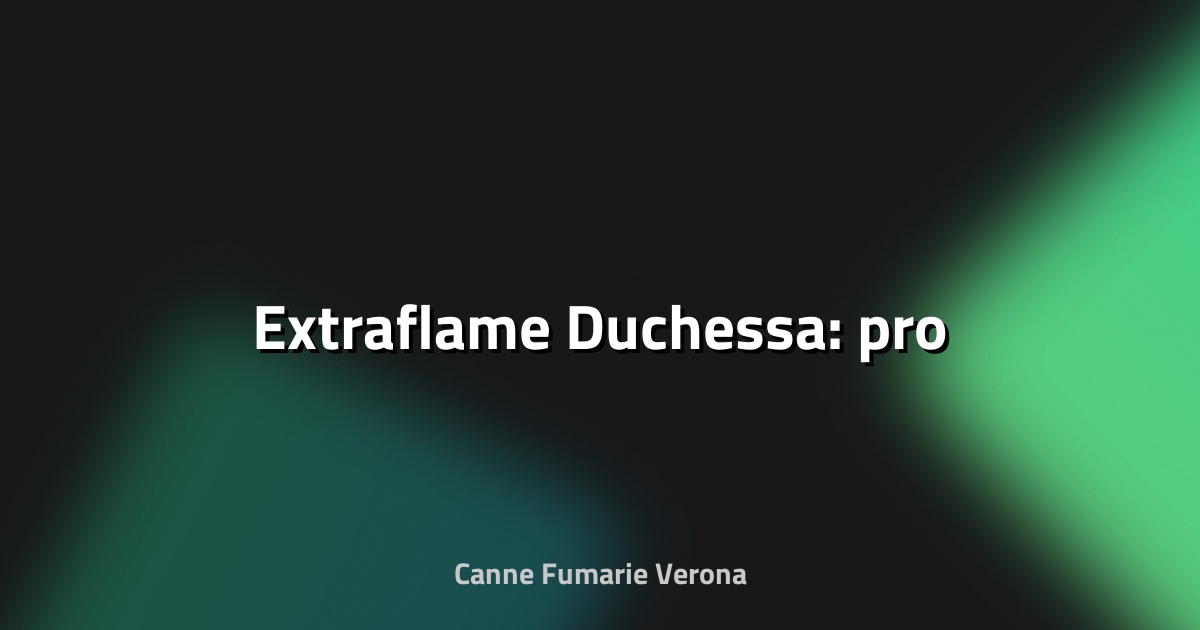 🔥 Extraflame Duchessa: pro