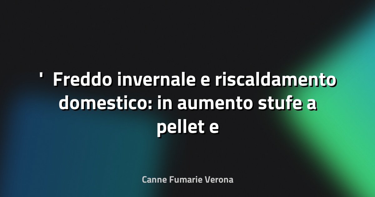 ❄️ Freddo invernale e riscaldamento domestico: in aumento stufe a pellet e caminetti - Sky TG24