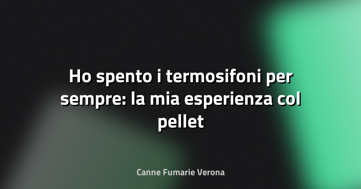 🔥 Ho spento i termosifoni per sempre: la mia esperienza col pellet