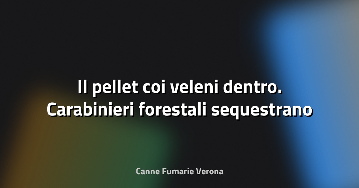 🔥 Il pellet coi veleni dentro. Carabinieri forestali sequestrano 22 tonnellate con tracce di formaldeide - Il Resto del Carlino