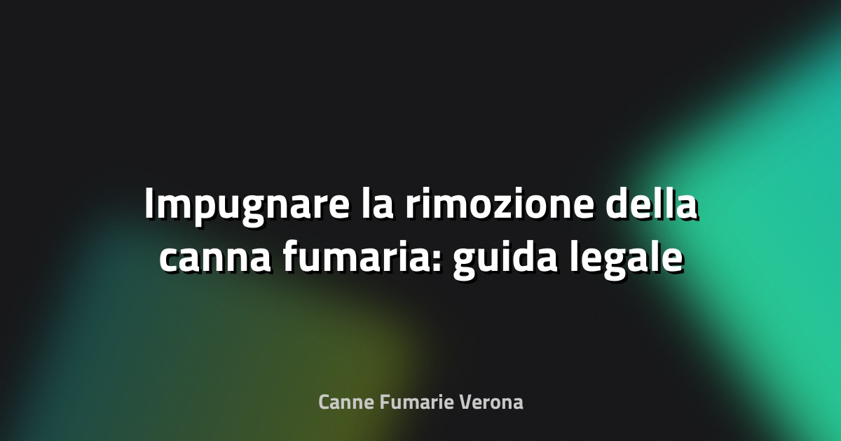 🔥 Impugnare la rimozione della canna fumaria: guida legale