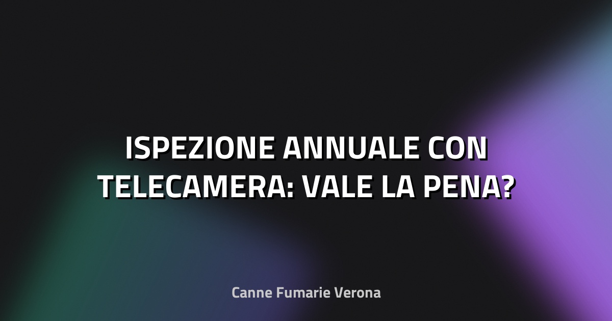 🔍 ISPEZIONE ANNUALE CON TELECAMERA: VALE LA PENA?
