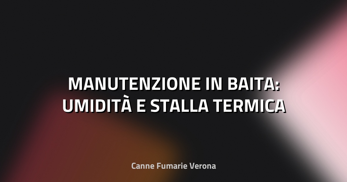 🔥 MANUTENZIONE IN BAITA: UMIDITÀ E STALLA TERMICA