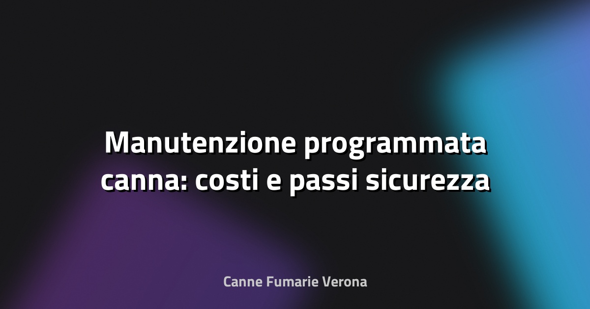 🔥 Manutenzione programmata canna: costi e passi sicurezza