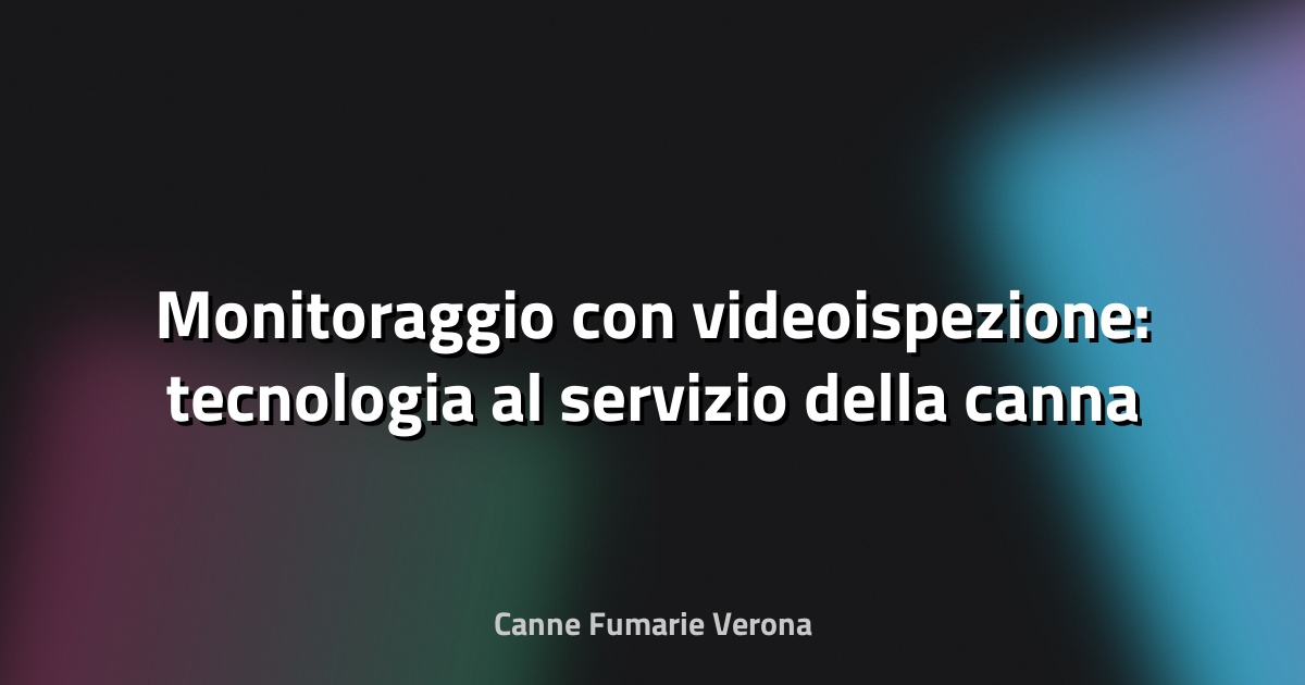 🔍 Monitoraggio con videoispezione: tecnologia al servizio della canna fumaria