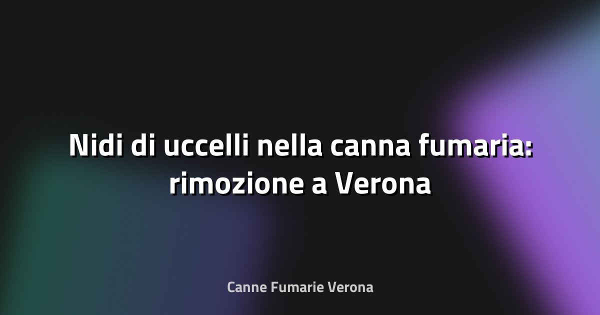 🪹 Nidi di uccelli nella canna fumaria: rimozione a Verona