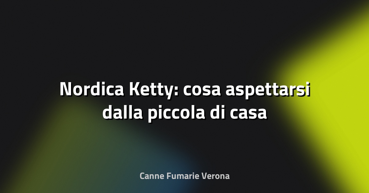 🔥 Nordica Ketty: cosa aspettarsi dalla piccola di casa
