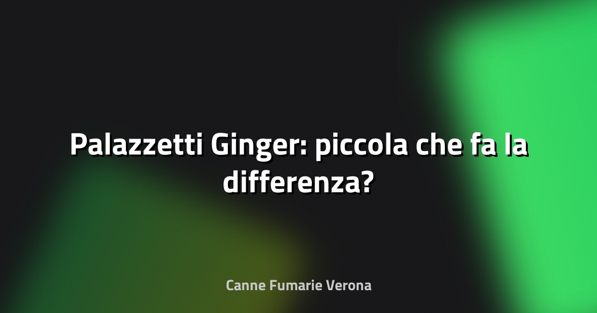 🔥 Palazzetti Ginger: piccola che fa la differenza?