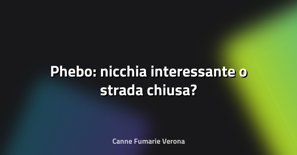🔥 Phebo: nicchia interessante o strada chiusa?