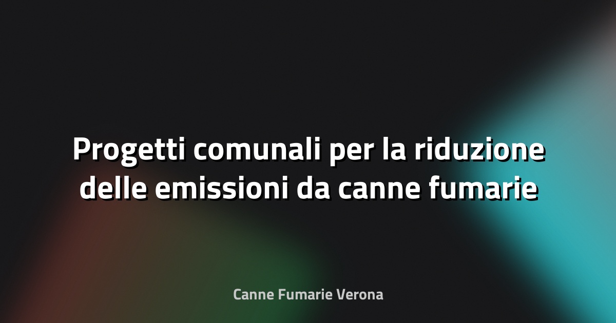 🌿 Progetti comunali per la riduzione delle emissioni da canne fumarie