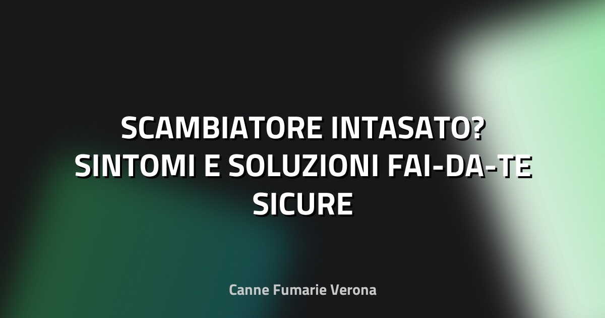 🔥 SCAMBIATORE INTASATO? SINTOMI E SOLUZIONI FAI-DA-TE SICURE