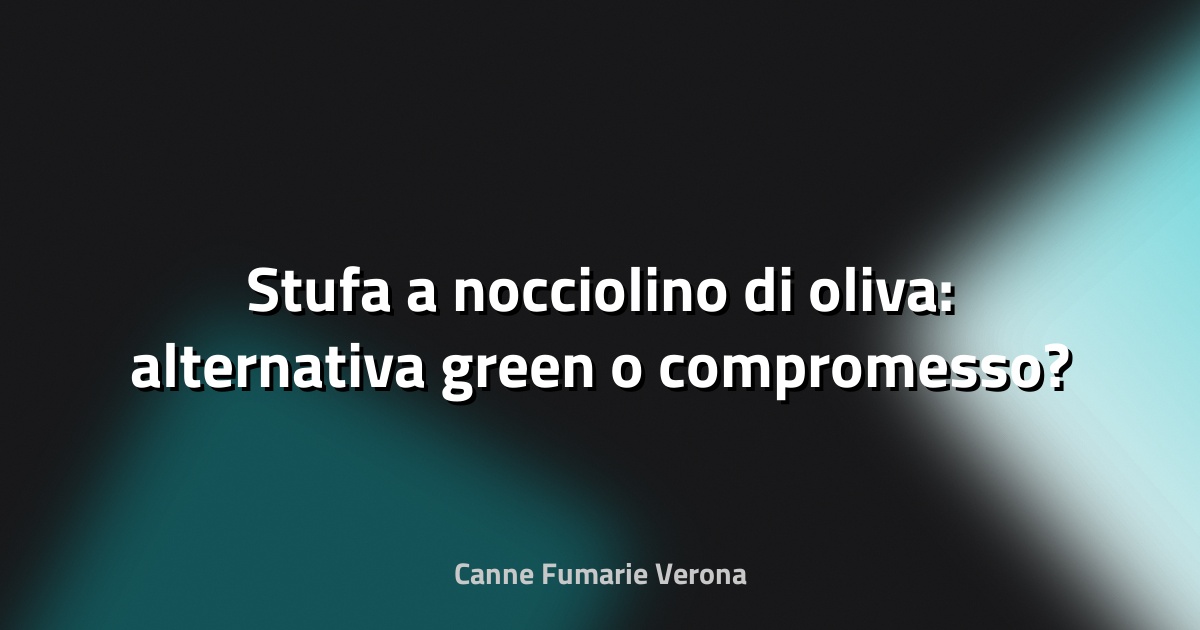 🔥 Stufa a nocciolino di oliva: alternativa green o compromesso?
