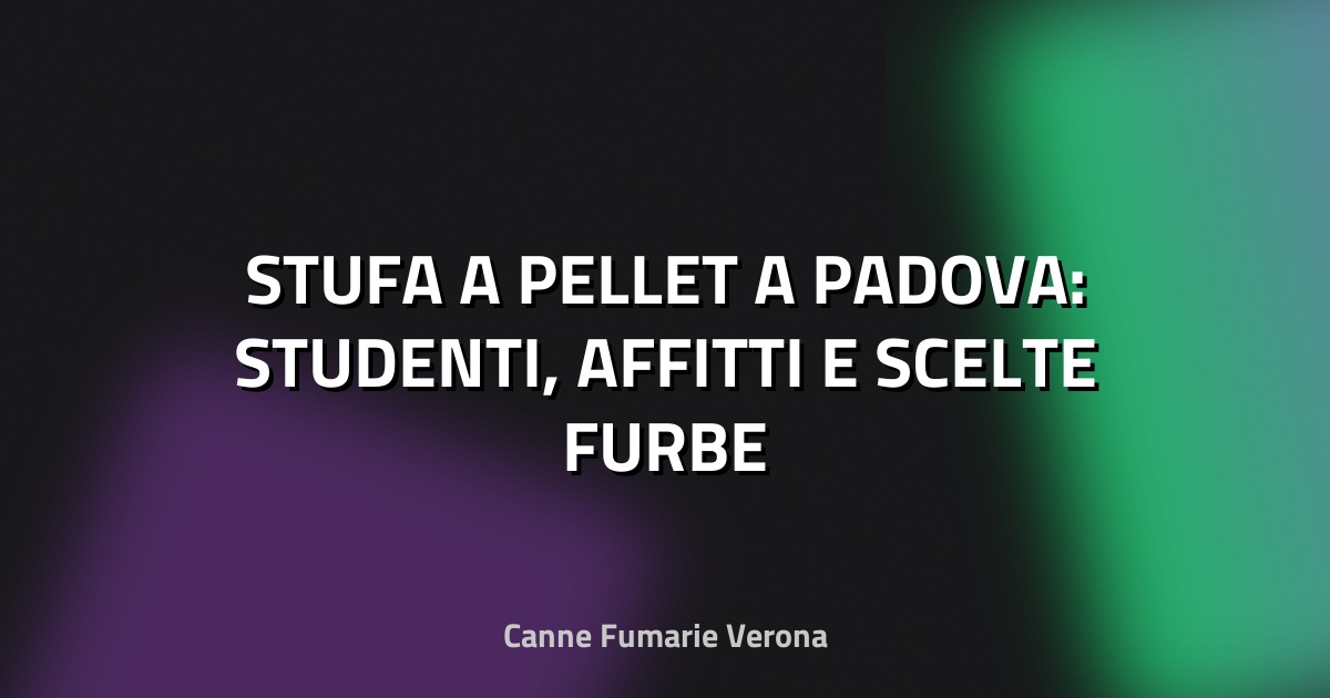 🔥 STUFA A PELLET A PADOVA: STUDENTI, AFFITTI E SCELTE FURBE