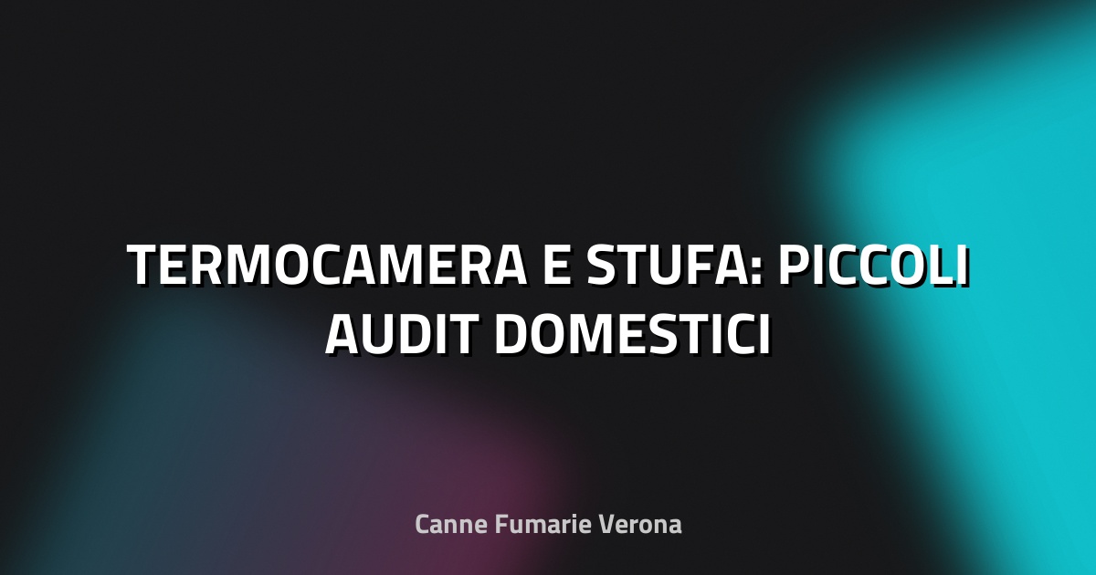 🔍 TERMOCAMERA E STUFA: PICCOLI AUDIT DOMESTICI