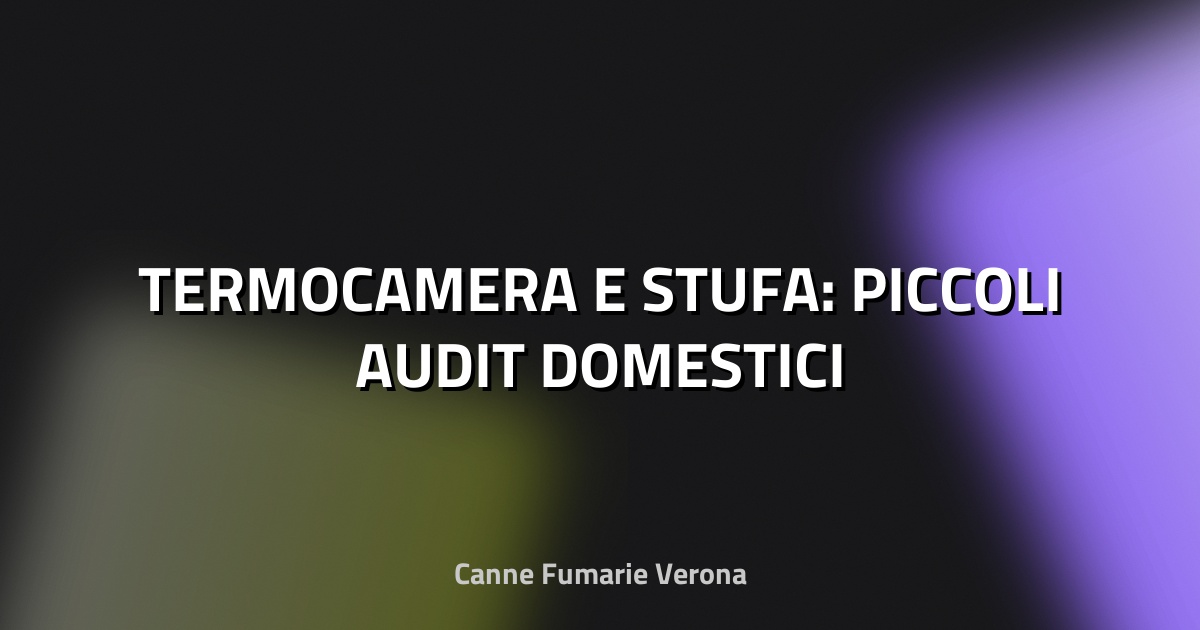 🔥 TERMOCAMERA E STUFA: PICCOLI AUDIT DOMESTICI