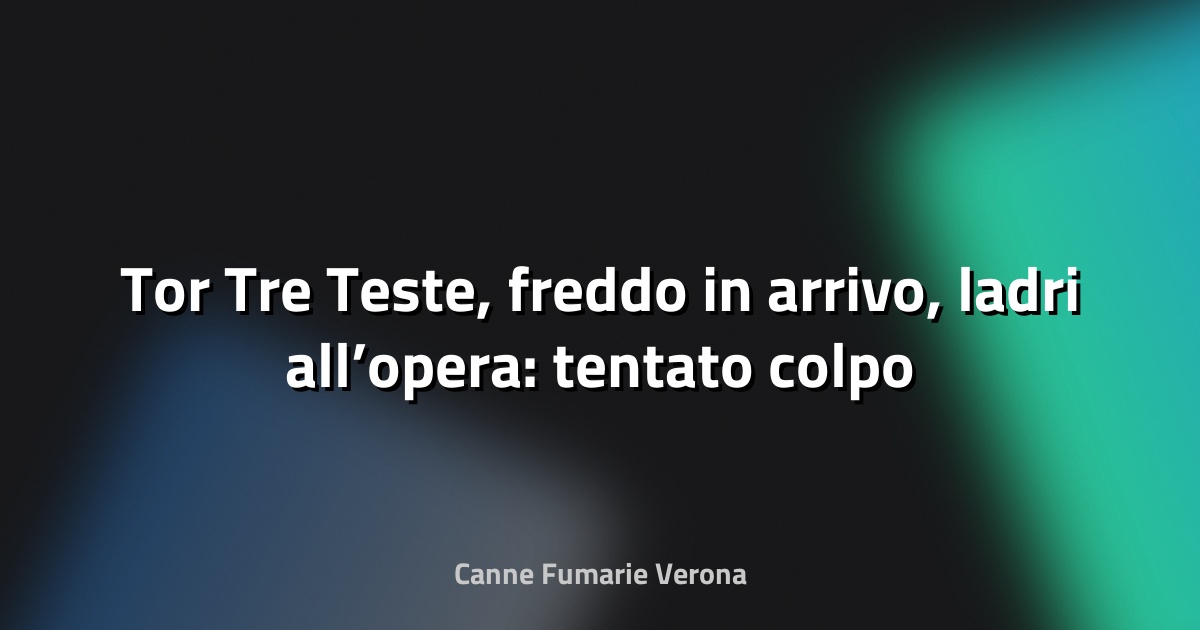 🔥 Tor Tre Teste, freddo in arrivo, ladri all’opera: tentato colpo alle stufe a pellet di Tecnomat - Abitare A Roma